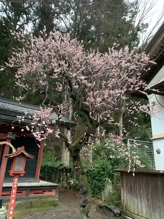宇都宮神社(白岩町)の本殿・本堂