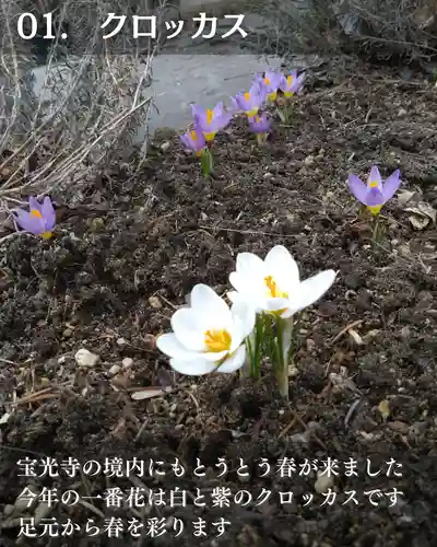 宝光寺(北海道)
