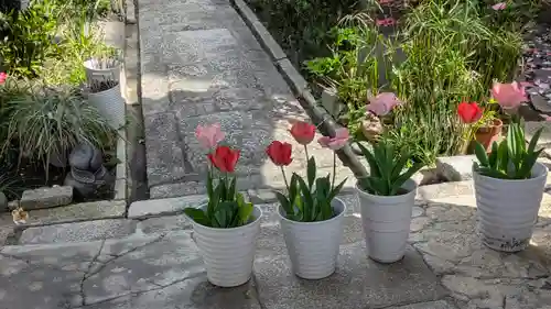 西方寺(京都府)