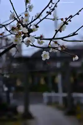 永谷天満宮(神奈川県)