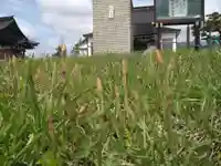 雨竜 専福寺(北海道)