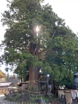 戸隠神社中社の周辺