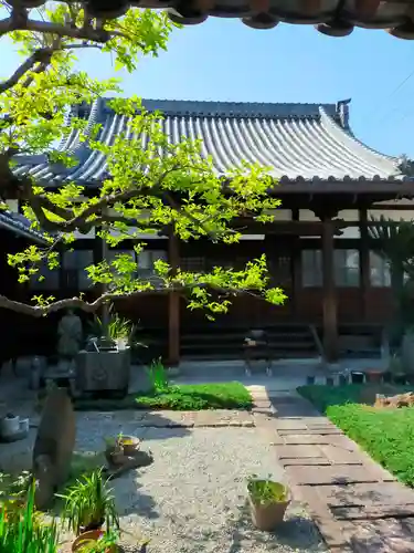 龍雲寺(大阪府)