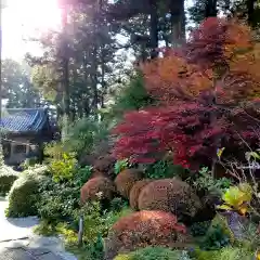 龍潭寺の自然