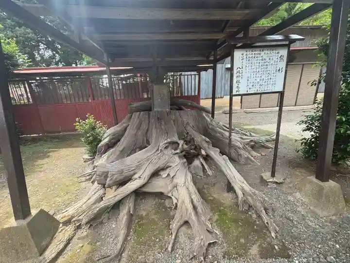 八坂神社(群馬県)