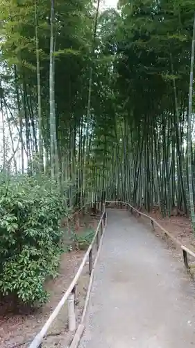 高台寺（高台寿聖禅寺・高臺寺）(京都府)