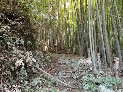 松尾神社の自然