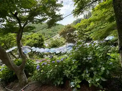 柳谷観音　楊谷寺(京都府)
