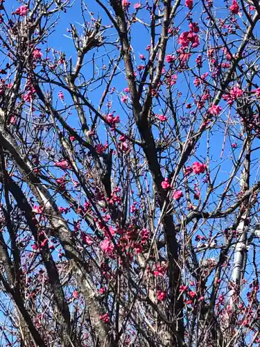 境香取神社の自然