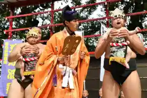 乳児から幼児へ、泣くことしか出来なかった赤ちゃんの成長を祝い、力強く泣くことで健やかに育つことを祈願する『一心泣き相撲』を開催いたします。
参加資格は首のすわった生後6ヶ月から2歳半までの赤ちゃんです。女の子も参加できます。大会では、居木神社の御本殿にて成長祈願の御祈祷を行い、赤ちゃんの健やかな健康を祈願した【一心御守】をお授けいたします。
参加にあたって、赤ちゃんの四股名(しこな)をお考えください。
記念品の四股名カブト、手形、赤ちゃん番付に名入れいたします。また土俵に上がる際に読み上げます。 (四股名は本名でも結構です。1~7文字程度)
一心泣き相撲では、お客様に無用な混雑を避けていただくため、会場受付を30分ごとに分けて申し込みを受け付けております。ご都合の良い時間帯(A~H)をお選びください。
受付 9:30
A 10:00~ B 10:30~ C 11:00~ D 11:30~ E 12:00~ F 12:30~ G 13:00~ H 13:30~
参加費:15000円 (御祈祷料・御守・記念品すべて含む) 参加人数150名限定 申し込み〆切 9月25日
会場(境内)では、一心泣き相撲、御祈祷(御本殿)、赤ちゃん力石(四股奉納)、赤ちゃん手形、背伸び太鼓、獅子舞等のイベントをお楽しみください。全てをまわると1時間ほどかかります。
下記Webサイトから申し込みができます。
https://www.nakisumo.jp/
申し込みフォームにて必要事項を記入し、送信してください。 四股名は後日改めてWebにて登録することができます。
◆ 参 加 費 15,000円(御祈祷料・御守り・記念品すべて含む)
◆ 参加資格 首のすわった生後6ヶ月から2歳半までの赤ちゃんです。女の子も参加できます。
◆ お申し込みについて
FAXでの申し込みは下記までお願いします。
FAX 078-903-5475(平日午前10時~午後4時)
「10月4日 大崎場所の参加」とお申し付けください。後日、FAX登録用紙をお送りします。
赤ちゃんの四股名と必要事項を記入して郵送、またはFAX 078-903-5475まで返送してください。
感染症対策を施して実施いたします。参加にあたっては皆様にご協力をいただきます。安心してご参加ください。