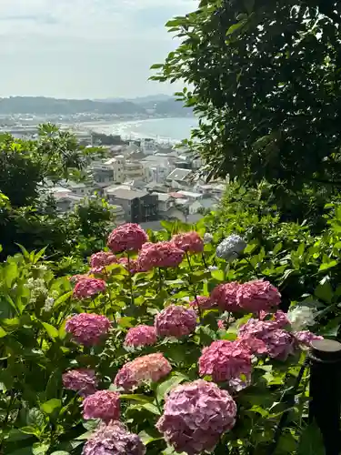 長谷寺(神奈川県)