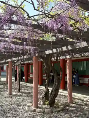 山王稲荷神社（日枝神社末社）の自然