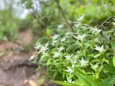 高峯神社(大室神社奥宮)(長野県)
