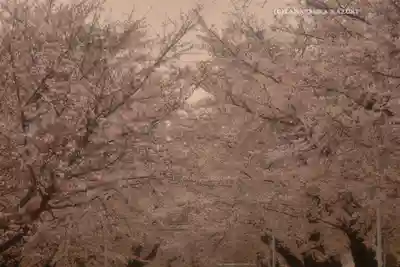 寛永寺(根本中堂)(東京都)