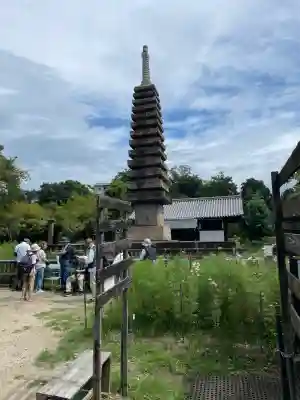 般若寺 ❁﻿コスモス寺❁(奈良県)