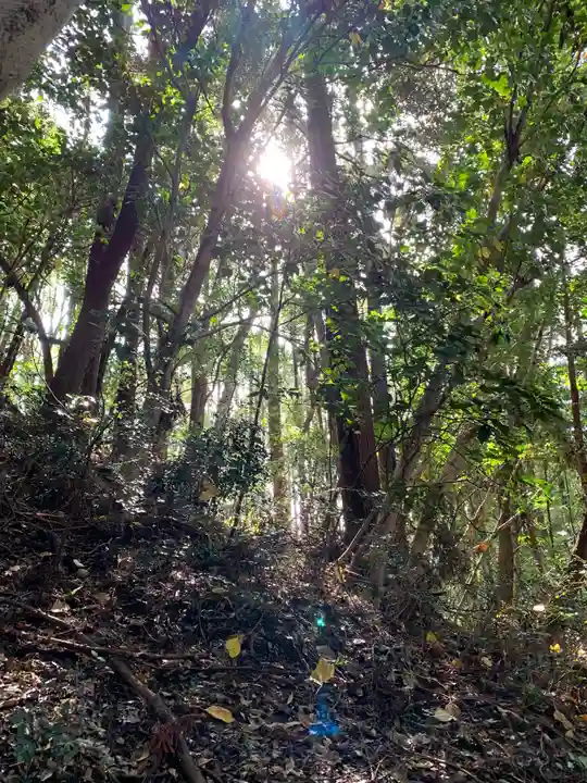 月夜見神社の自然