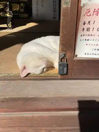宝寿院(愛知県)