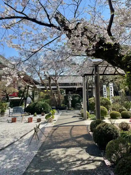 大光寺の{uncategorized: "未分類", other: "その他", undefined: "問題あり", building: "その他建物", grave: "お墓", sacred_gate: "鳥居", guardian: "狛犬", statue: "像", buddha: "仏像", history: "歴史", nature: "自然", garden: "庭園", animal: "動物", pagoda: "塔", temizu: "手水舎", mountain_gate: "山門・神門", sanctuary: "本殿・本堂", subordinate: "末社・摂社", art: "芸術", scenery: "景色", jizo: "地蔵", ema: "絵馬", goshuin: "御朱印", omikuji: "おみくじ", items: "授与品その他", amulet: "お守り", goshuincho: "御朱印帳", eats: "食事", festival: "お祭り", votive_dance: "神楽", shichigosan: "七五三参", wedding: "結婚式", experience: "体験その他", initially: "初詣", around: "周辺", anti_infection: "感染症対策"}
