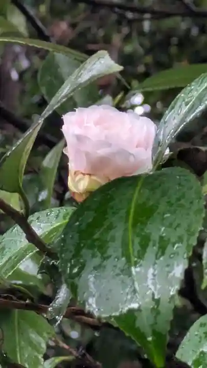 城南宮(京都府)