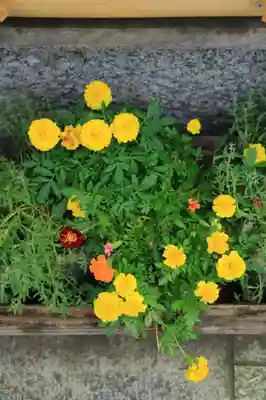 東京大神宮のその他建物