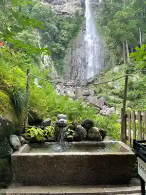 飛瀧神社(熊野那智大社別宮)(和歌山県)