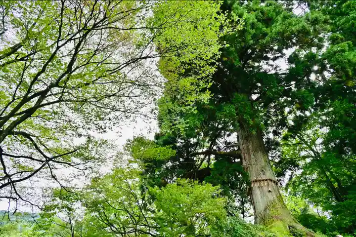 竹之高地不動社(新潟県)