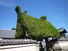 延命寺の山門