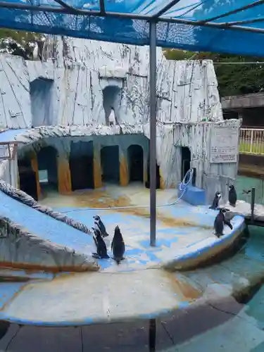 射水神社の周辺