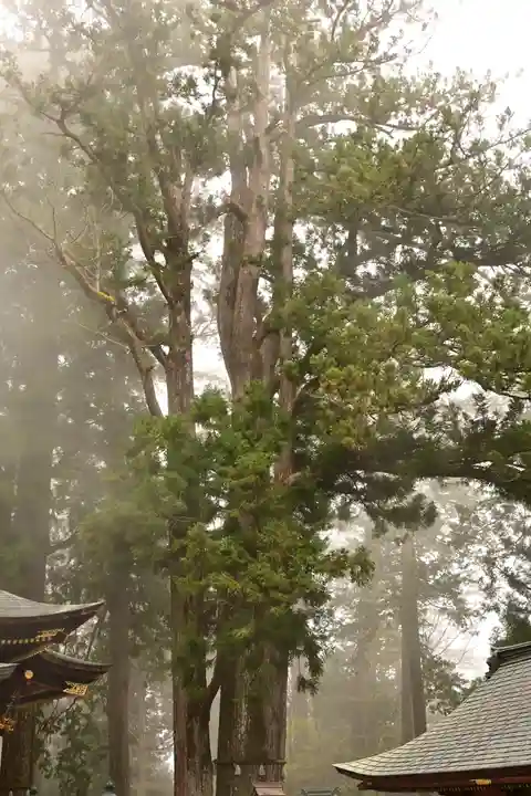三峯神社(埼玉県)