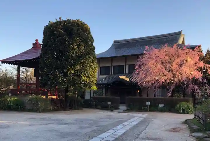 満行寺の本殿・本堂