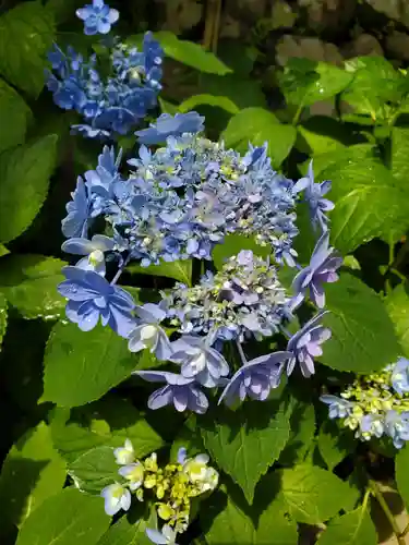 草薙神社の自然