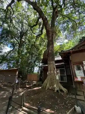 氷川女體神社(埼玉県)