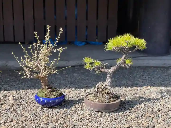 高円寺氷川神社(東京都)
