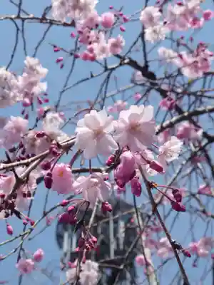 妙福寺(神奈川県)