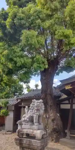 宗像神社(愛知県)
