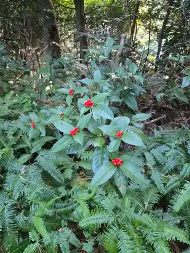 笠子神社(静岡県)