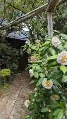 雨宝院(京都府)