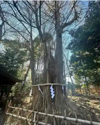 大國魂神社(東京都)
