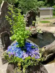 妙龍神社(新潟県)