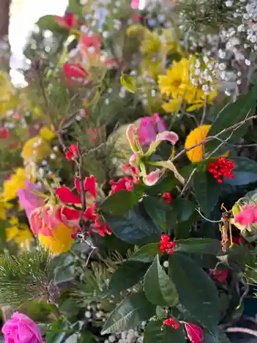 富知六所浅間神社の自然
