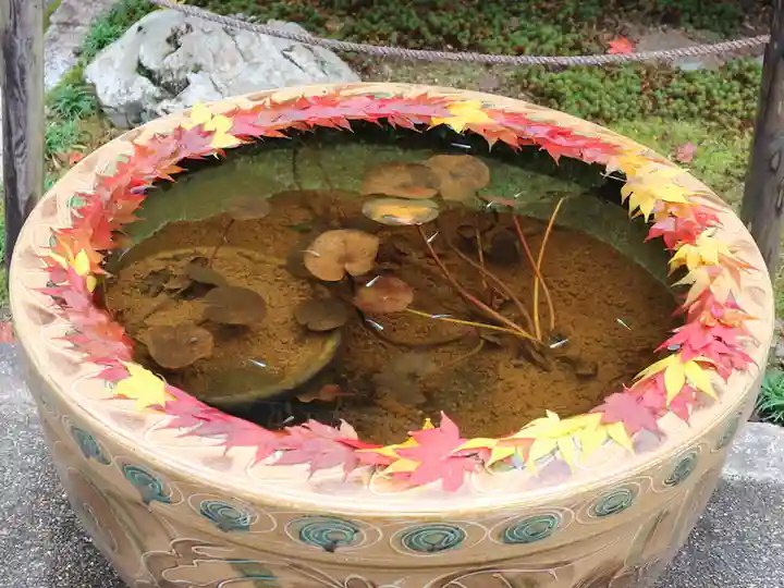 一條殿 新善光寺(京都府)