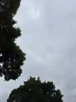 小戸神社の自然