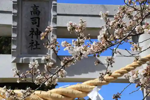 高司神社〜むすびの神の鎮まる社〜の鳥居