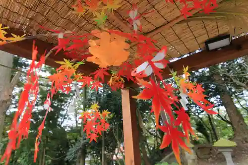 阿久津「田村神社」（郡山市阿久津町）旧社名：伊豆箱根三嶋三社の手水