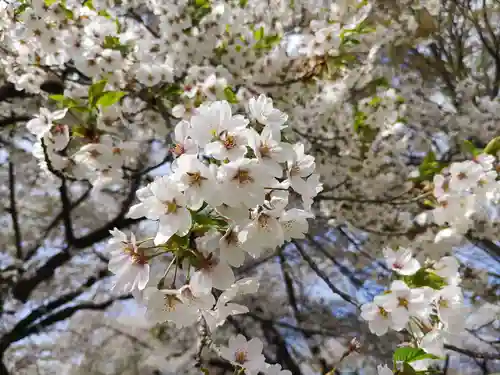 愛宕神社(岩手県)