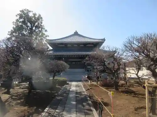 日曜寺(東京都)