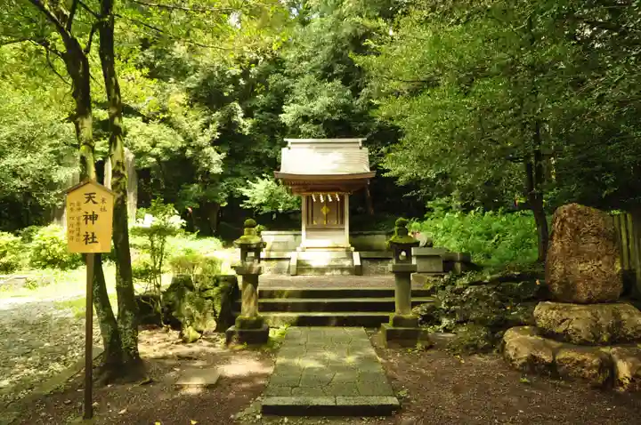 富士山本宮浅間大社(静岡県)