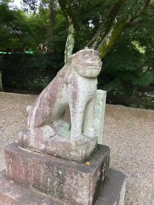 中山神社の狛犬