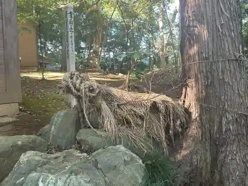 氷川女體神社(埼玉県)