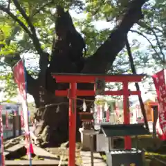 秩父今宮神社の鳥居